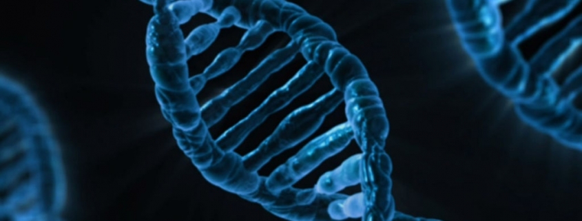 magia-dna
