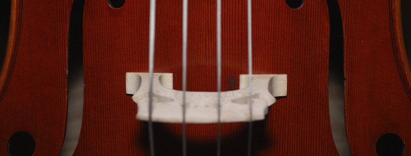 muzyka